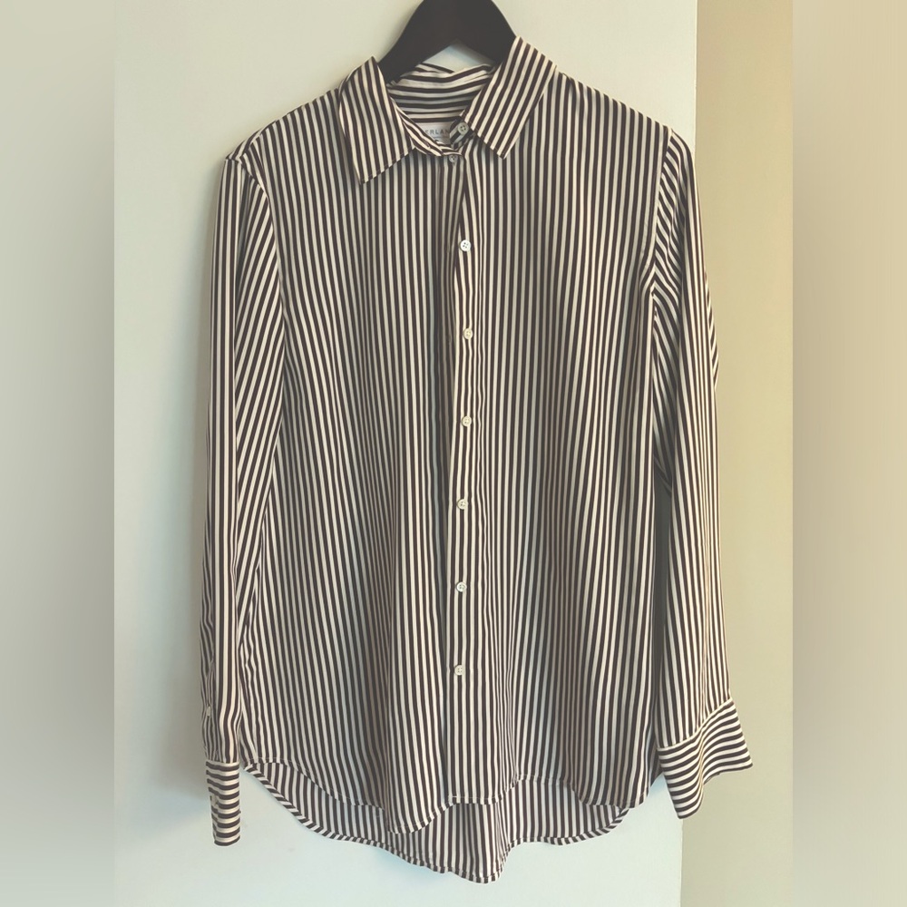 Everlane Silk Button Down Shirt